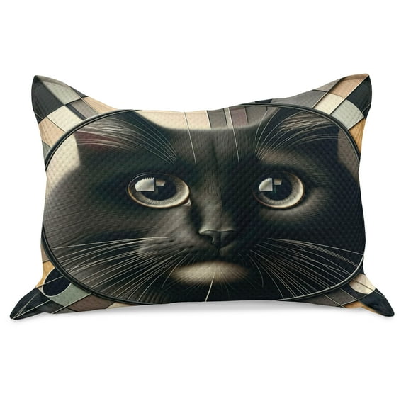 Ambesonne Cat Knitted Quilt Pillowcover, Closeup Circle of a Black Kitty, 30"x20", Charcoal Grey