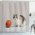 thumbnail image 1 of Ambesonne Cat Shower Curtain, Animal with Pumpkin View Print, 69"Wx70"L, Burnt Sienna Almond and Tan, 1 of 4