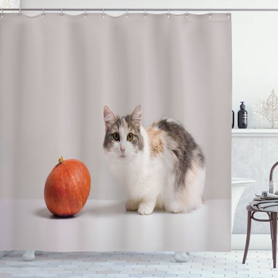 Ambesonne Cat Shower Curtain, Animal with Pumpkin View Print, 69"Wx70"L, Burnt Sienna Almond and Tan