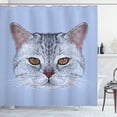 thumbnail image 1 of Ambesonne Cat Shower Curtain, Scottish Hipster Kitty Pet, 69"Wx75"L, Pale Blue Pale Grey, 1 of 5