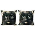 thumbnail image 1 of Ambesonne Cat Throw Pillow Cover 2 Pack, Closeup Circle of a Black Kitty, 16", Charcoal Grey, 1 of 7
