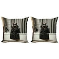 thumbnail image 1 of Ambesonne Cat Throw Pillow Cover 2 Pack, Realistic Cool Kitty Mysterious, 24", Grey and Charcoal Grey, 1 of 7