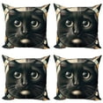 thumbnail image 1 of Ambesonne Cat Throw Pillow Cover 4 Pack, Closeup Circle of a Black Kitty, 20", Charcoal Grey, 1 of 7