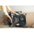thumbnail image 1 of Ambesonne Cat Throw Pillow Cover Pack of 2, Closeup Circle of a Black Kitty, 2 Pcs-28"x28", Charcoal Grey, 1 of 5