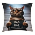thumbnail image 1 of Ambesonne Cat Throw Pillow Cushion Cover, Whimsical Bad Kitty Mug Shot, 24" X 24", Umber and Pale Blue Grey, 1 of 2