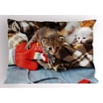 thumbnail image 1 of Ambesonne Cats Pillow Sham, Kittens Mittens, 36" X 20", Multicolor, 1 of 2