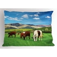 thumbnail image 1 of Ambesonne Cattle Pillow Sham, Cow Nature Composition, 26" X 20", Multicolor, 1 of 2