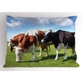 thumbnail image 1 of Ambesonne Cattle Pillow Sham, Cows Grazing on Pasture, 26" X 20", Multicolor, 1 of 2