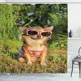 thumbnail image 1 of Ambesonne Chihuahua Shower Curtain, Dog with Strappy Top, 69"Wx84"L, Multicolor, 1 of 3
