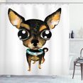 thumbnail image 1 of Ambesonne Chihuahua Shower Curtain, Gem Collar Big Eyed Dog, 69"Wx75"L, Multicolor, 1 of 3