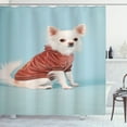 thumbnail image 1 of Ambesonne Chihuahua Shower Curtain, Puppy with Clothes, 69"Wx75"L, Pale Blue Dark Salmon, 1 of 3