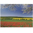 thumbnail image 1 of Ambesonne Colorful Jigsaw Puzzle Durable Cardboard, Poppy Field Landscape, 1000 pcs, Multicolor, 1 of 6