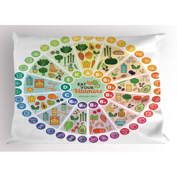 Ambesonne Colorful Pillow Sham, Food Sources Wheel Chart, 26" X 20", Multicolor