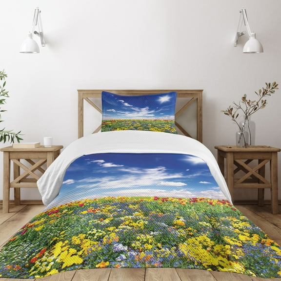 Ambesonne Colorful Quilted Bedspread Set 2 Pcs, Flowers Cloudy Sky, Twin Size, Multicolor