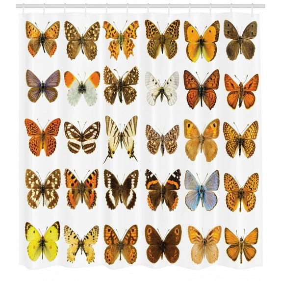 Ambesonne Colorful Shower Curtain, Butterfly Miracle Wing, 69"Wx70"L, Multicolor