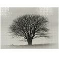 thumbnail image 1 of Ambesonne Country Jigsaw Puzzle Durable Cardboard, Branch Tree Field, 1000 pcs, Ivory Dark Grey, 1 of 6