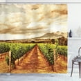 thumbnail image 1 of Ambesonne Country Shower Curtain, Cloudy Vineyard in Fall, 69"Wx84"L, Burnt Orange Off White, 1 of 5