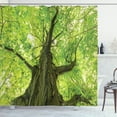 thumbnail image 1 of Ambesonne Country Shower Curtain, Old Big Majestic Tree, 69"Wx84"L, Green Brown, 1 of 5