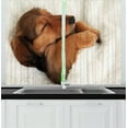 thumbnail image 1 of Ambesonne Dachshund Kitchen Curtains, Puppy Sleeping in Its Bed, 55"x45", Ivory Cinnamon, 1 of 1