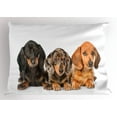 thumbnail image 1 of Ambesonne Dachshund Pillow Sham, Different Color Dogs Lays, 26" X 20", Dark Taupe Grey Taupe, 1 of 2