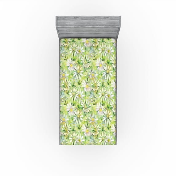 Ambesonne Daisy Fitted Sheet, Chamomile Meadow Watercolor, Twin XL Size, Pastel Green Yellow