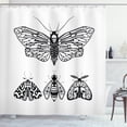 thumbnail image 1 of Ambesonne Death Moth Shower Curtain, Minimalist Wings Art, 69"Wx70"L, White and Black, 1 of 3