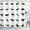 thumbnail image 1 of Ambesonne Dinosaur Shower Curtain, Evolution of Wildlife, 69"Wx70"L, Black White, 1 of 3