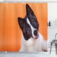 thumbnail image 1 of Ambesonne Dog Lover Shower Curtain, Akita on Orange, 69"Wx84"L, Orange Charcoal Grey, 1 of 4
