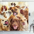 thumbnail image 1 of Ambesonne Dogs Shower Curtain, Funny Animals with Tongues, 69"Wx84"L, Brown Ecru Beige, 1 of 2