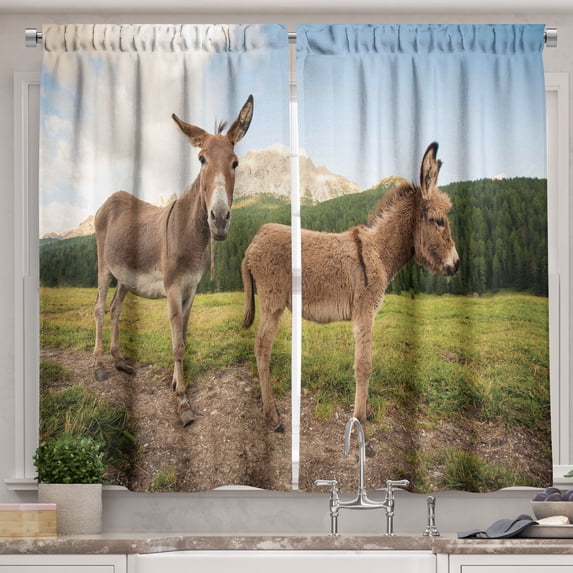 Ambesonne Donkey Kitchen Curtains, Dolomites Italy Countryside, 55"x39", Multicolor