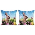 thumbnail image 1 of Ambesonne Easter Throw Pillow Cover 2 Pack, Eggs and Fluffy Bunny, 18", Multicolor, 1 of 7