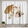 thumbnail image 1 of Ambesonne English Bulldog Kitchen Curtains, Sad Animal, 55"x45", Cream Brown, 1 of 1