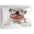 thumbnail image 1 of Ambesonne English Bulldog Pillow Sham, Pure Breed Puppy, 26" X 20", Cream Red Pink, 1 of 2