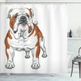 thumbnail image 1 of Ambesonne English Bulldog Shower Curtain, Muscular Dog, 69"Wx70"L, Brown White, 1 of 3