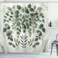 thumbnail image 1 of Ambesonne Eucalyptus Leaves Shower Curtain, Weeping Wreath, 69"Wx75"L, Ivory and Laurel Green, 1 of 4
