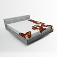 thumbnail image 1 of Ambesonne Exotic Fitted Sheet, Spring Monarch Bug, Queen Size, Dark Brown Marigold, 1 of 2
