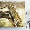 thumbnail image 1 of Ambesonne Exotic Shower Curtain, Leopard Wild Cat on Tree, 69"Wx70"L, Yellow Green Brown, 1 of 5