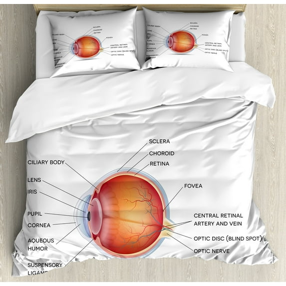 Ambesonne Eye Chart Duvet Cover Set, Anatomy of an Eye Wording, 2-Calking, White Burnt Orange
