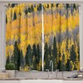 thumbnail image 1 of Ambesonne Fall Kitchen Curtains, Colorful Aspen Trees USA, 55"x39", Green Yellow Grey, 1 of 3