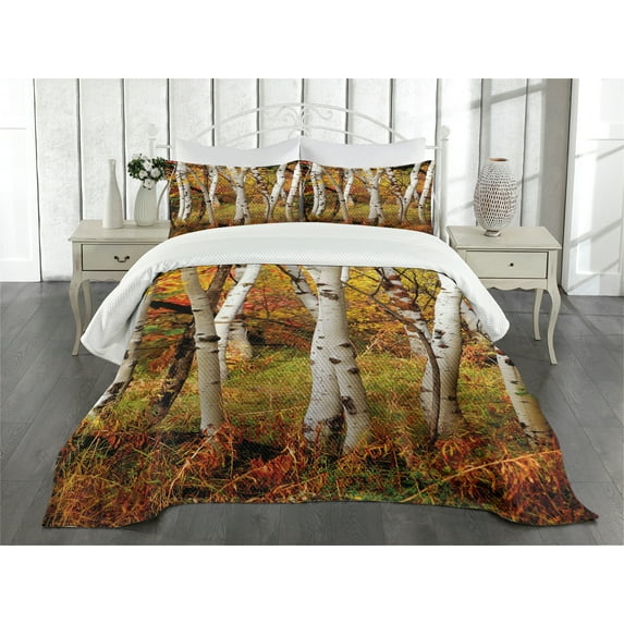 Ambesonne Fall Quilted Bedspread Set 3 Pcs, White Birch Trees Serenity, Queen Size, Multicolor
