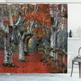 thumbnail image 1 of Ambesonne Fall Shower Curtain, Beech Forest Autumn, 69"Wx84"L, Grey Red, 1 of 4