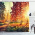 thumbnail image 1 of Ambesonne Fall Shower Curtain, Misty Day in the Forest, 69"Wx75"L, Orange Yellow Green, 1 of 3