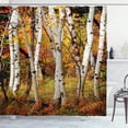 thumbnail image 1 of Ambesonne Fall Shower Curtain, White Birch Trees Serenity, 69"Wx75"L, Multicolor, 1 of 3