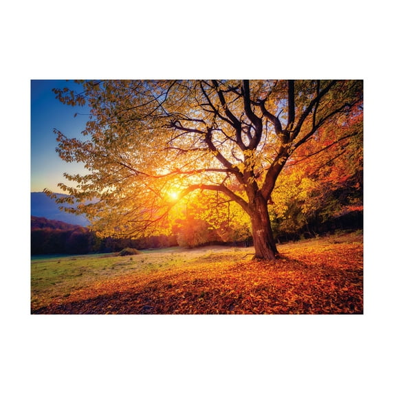 Ambesonne Fall Tree Jigsaw Puzzle, Autumn Fall Tree Leaves, Heirloom-Quality Fun Activity for Family Durable Cardboard, 1000 pcs, Brown