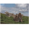 thumbnail image 1 of Ambesonne Farm Animal Jigsaw Puzzle Durable Cardboard, Resting Cows and Sky, 1000 pcs, Multicolor, 1 of 1
