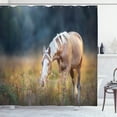 thumbnail image 1 of Ambesonne Farm Animal Shower Curtain, Palomino Horse Grazing, 69"Wx84"L, Multicolor, 1 of 3