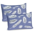 thumbnail image 1 of Ambesonne Feather Pillow Sham 2 Pack, Fluffy Greyscale Elements, 30"x20", Lavender Blue Grey, 1 of 3