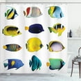 thumbnail image 1 of Ambesonne Fish Shower Curtain, Collage of Sea Animals, 69"Wx75"L, Multicolor, 1 of 5