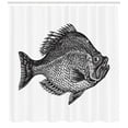 thumbnail image 1 of Ambesonne Fish Shower Curtain, Rock Bass Black and White, 69"Wx70"L, Black White, 1 of 3