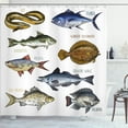 thumbnail image 1 of Ambesonne Fishing Theme Shower Curtain, Fishes and Names Info, 69"Wx75"L, White Multicolor, 1 of 3